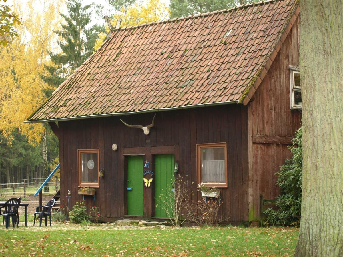 Reiterhof Winandy Villa Wietzendorf Exterior photo